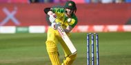 David Warner